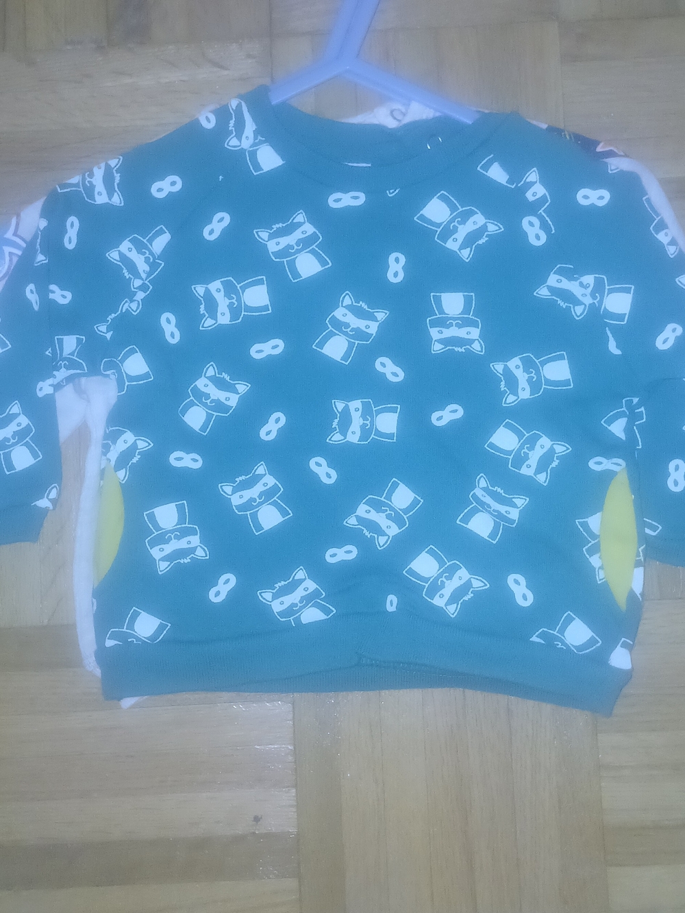 Baby Green Graphic Sweatshirt - Zara